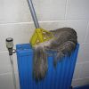 Dirty Mop