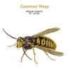 b_common_wasp.jpg