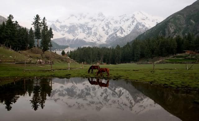 Nanga Parbat