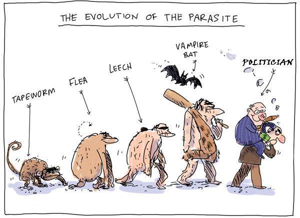 The Evolution of Parasite