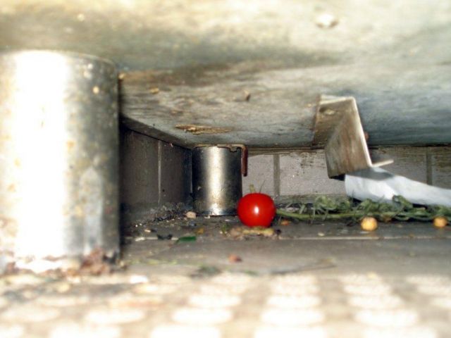 Vegetables left to rot on a kitchen floor