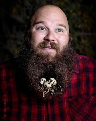 beard nest