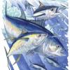 Reference Amounts Customarily Consumed (RACC) for canned tuna - last post by Dharmadi Sadeli Putra