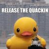 Come Back to IFSQN - last post by Plastic Ducky