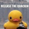 Gap analysis of SQF 8 and CFR 111 - last post by Plastic Ducky