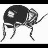Choose a Professional Pest Control Supplier - last post by Ptinid