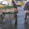 Vendor headed to Market, Kabul, Afghanistan